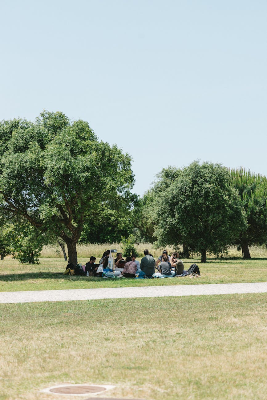 group gathering in a portuguese park